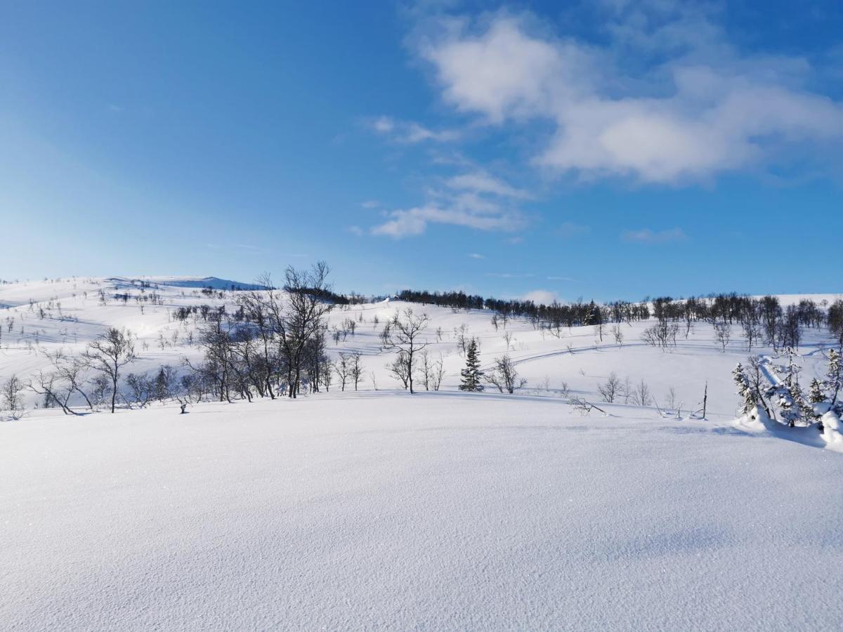 Villa Korgfjellet Fjellstue As Korgen Exterior foto