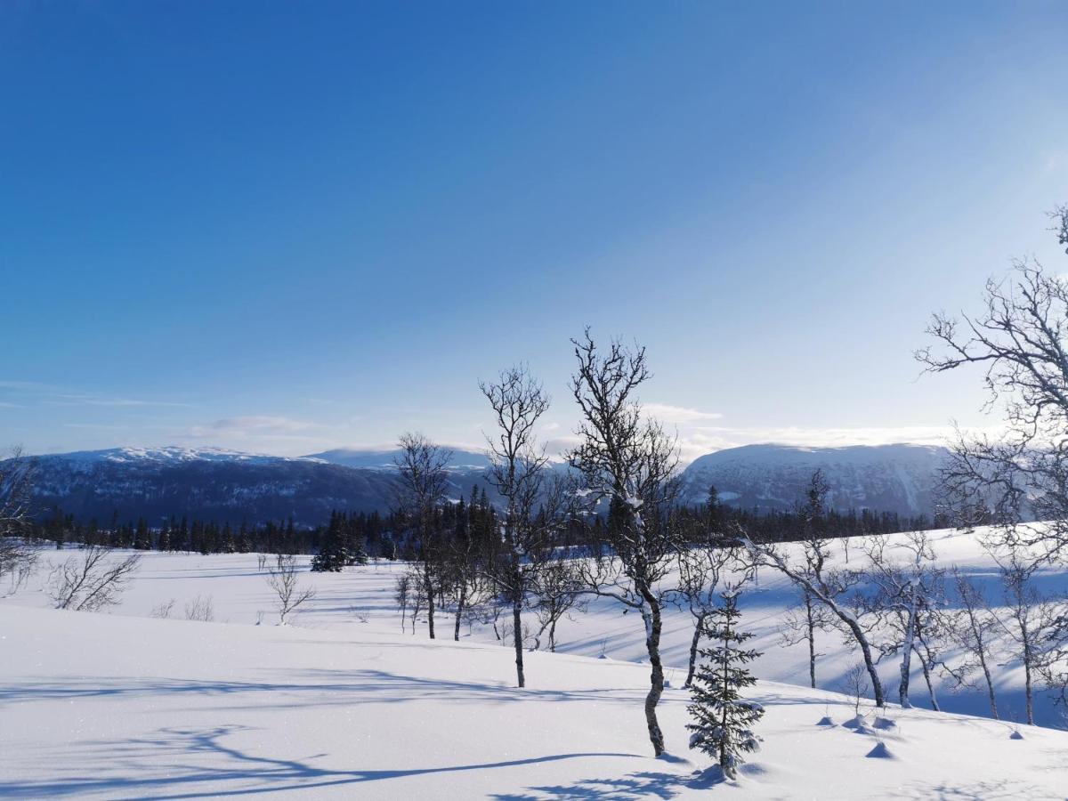 Villa Korgfjellet Fjellstue As Korgen Exterior foto