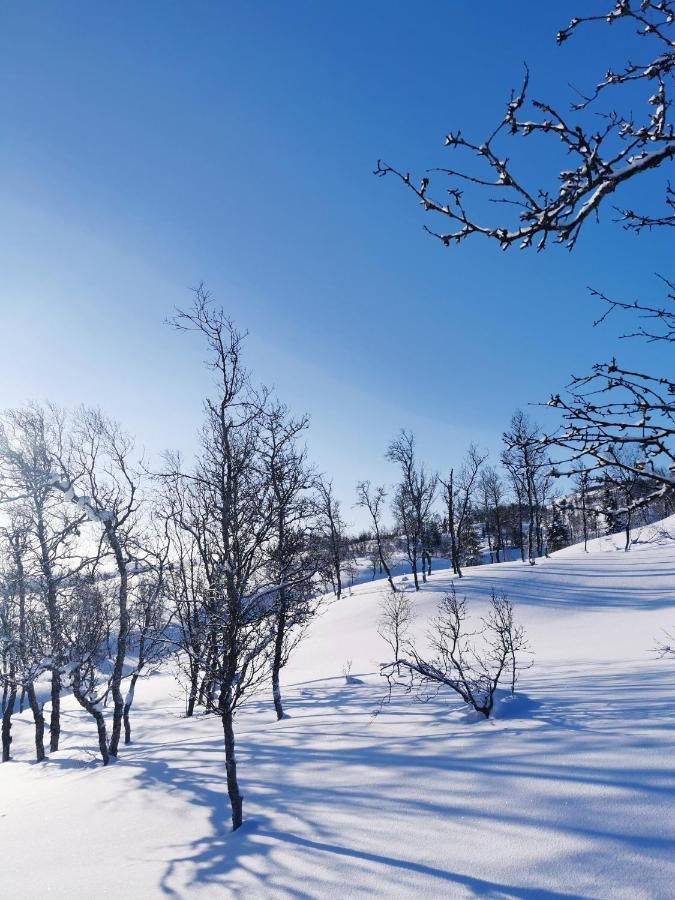Villa Korgfjellet Fjellstue As Korgen Exterior foto