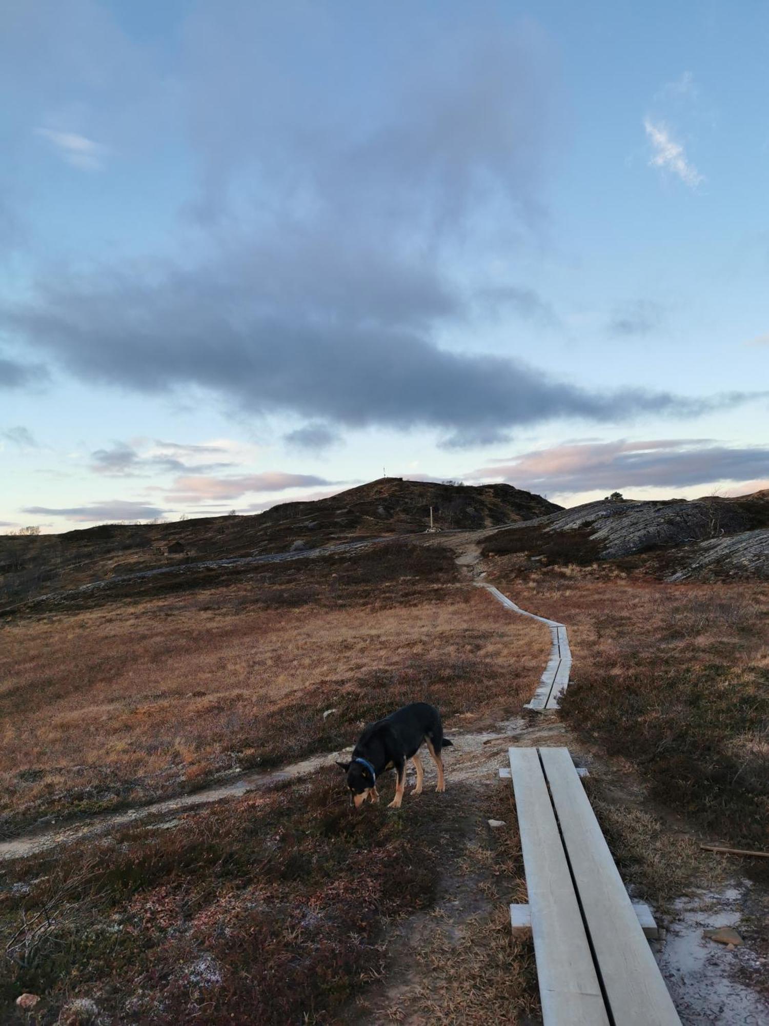 Villa Korgfjellet Fjellstue As Korgen Exterior foto